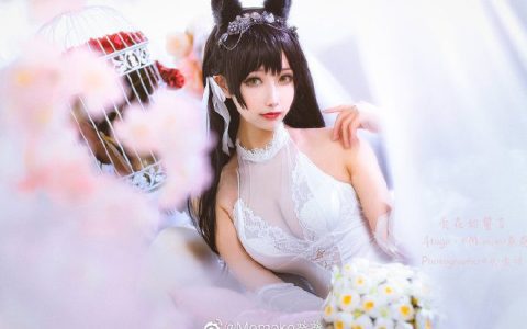 Momoko葵葵《碧蓝航线》的爱宕，白花舞动的迷恋