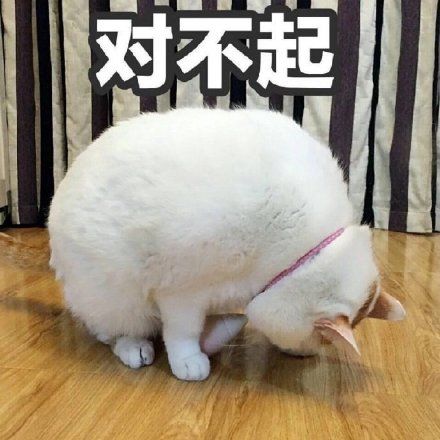 寸不己是什么意思网络 寸不己什么意思网络用语
