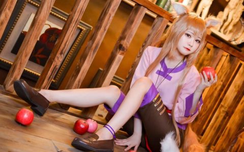 Arty亚缇_ホロcosplay作品 [31P-32MB]