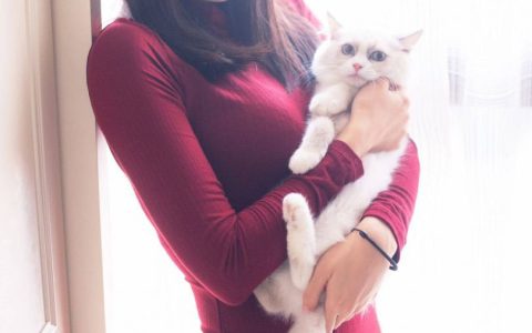 雨波_HaneAme UNIQLO Sweater·优衣库毛衣cosplay作品图包 [24P-7.30MB]