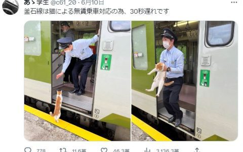 前脚刚踏上就被发现!《喵星人偷搭车被抓现行》列车长抱下车画面超萌!