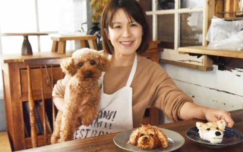 《狗狗造型饭团》把自家毛小孩变成香喷喷的料理形状啦!