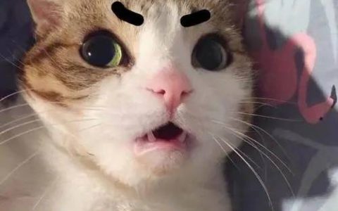 古阿扎微密圈私人订制怎么回事？