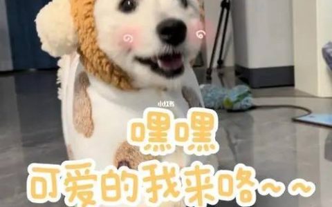 夏诗诗VV超火助眠定制asmr视频水平如何?