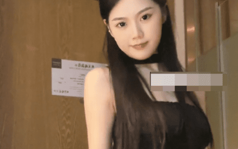 抖音王昭君微密圈图片好看吗?(王昭君维密图片)