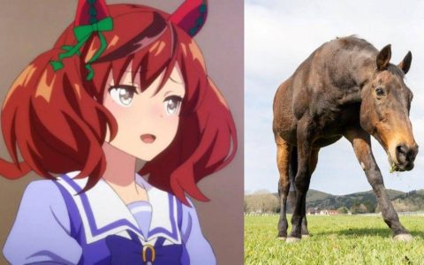 《赛马娘Pretty Derby》官方推特哀悼 马娘原型「优秀素质」以35岁之龄安详离世