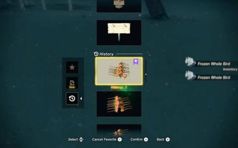 《萨尔达传说:王国之泪》玩家发现冷冻肉无限复制秘法 8分填满包套利四万卢比