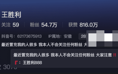 抖音王胜利的小胜利是什么梗?