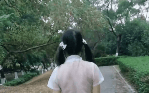 twitter网红冯珊珊公园任务视频是什么梗？