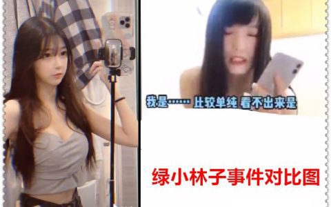 抖音网红绿小林子视频事件分析,绿小林子黑历史这是谣言