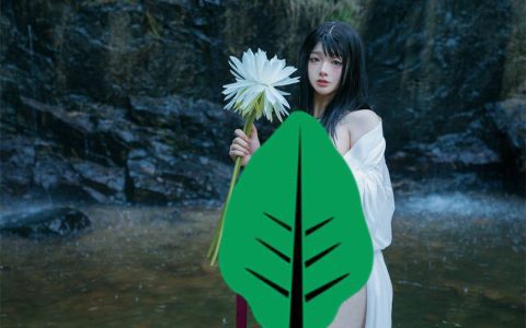 阿寨寨ninja神明巫女图片,绝美魅力尽显黑暗山涯!