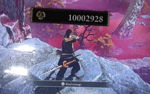 是个M！《艾尔登法环》玩家接受网友挑战8等用弓刷满1000万卢恩 一个摔跤钱全喷光