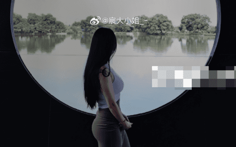 微博红人宸大小姐朋友圈付费门槛引关注