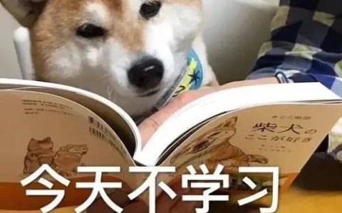 Dakki伊《玛修·基列莱特》动漫评论家为经典作品增添新色彩
