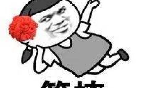 微密圈网红鱼银蛇与俏佳人,舞蹈与时尚的独特表演