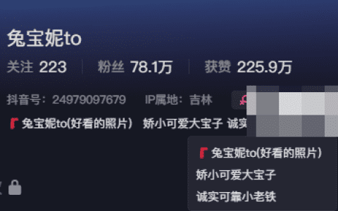 幻光王国的勇敢魔法使者兔宝妮to,与伙伴共同战胜黑暗势力