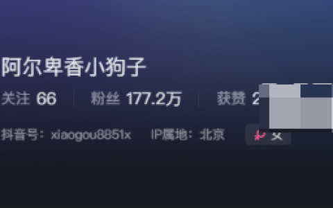 阿尔卑香小狗子微密圈用镜头记录成长 – 她的照片中充满趣味与美感