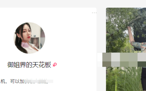 快手网红御姐界的天花板微密圈,共享成熟魅力与活力运动
