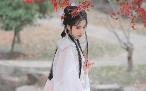 长相忆 意境 思念 情感 古风&YiTuYu艺图语