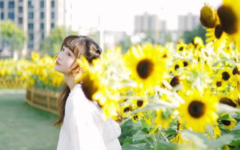 阳光下的花和你 日系 少女 向日葵 花 写真集&YiTuYu艺图语
