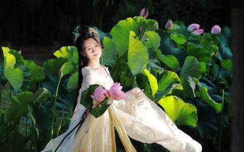 无清风 清新唯美 古风 小清新 养眼 漂亮 荷花 少女 唯美&YiTuYu艺图语