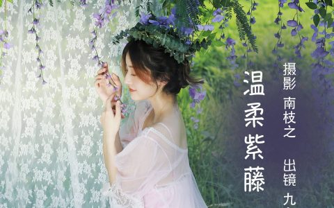 温柔紫藤 小清新 少女 精美 漂亮 花&YiTuYu艺图语