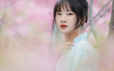 樱花树下 日式和风 樱花 少女&YiTuYu艺图语