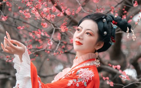 惹春风 古风 春天 梅花 花 美图 摄影&YiTuYu艺图语