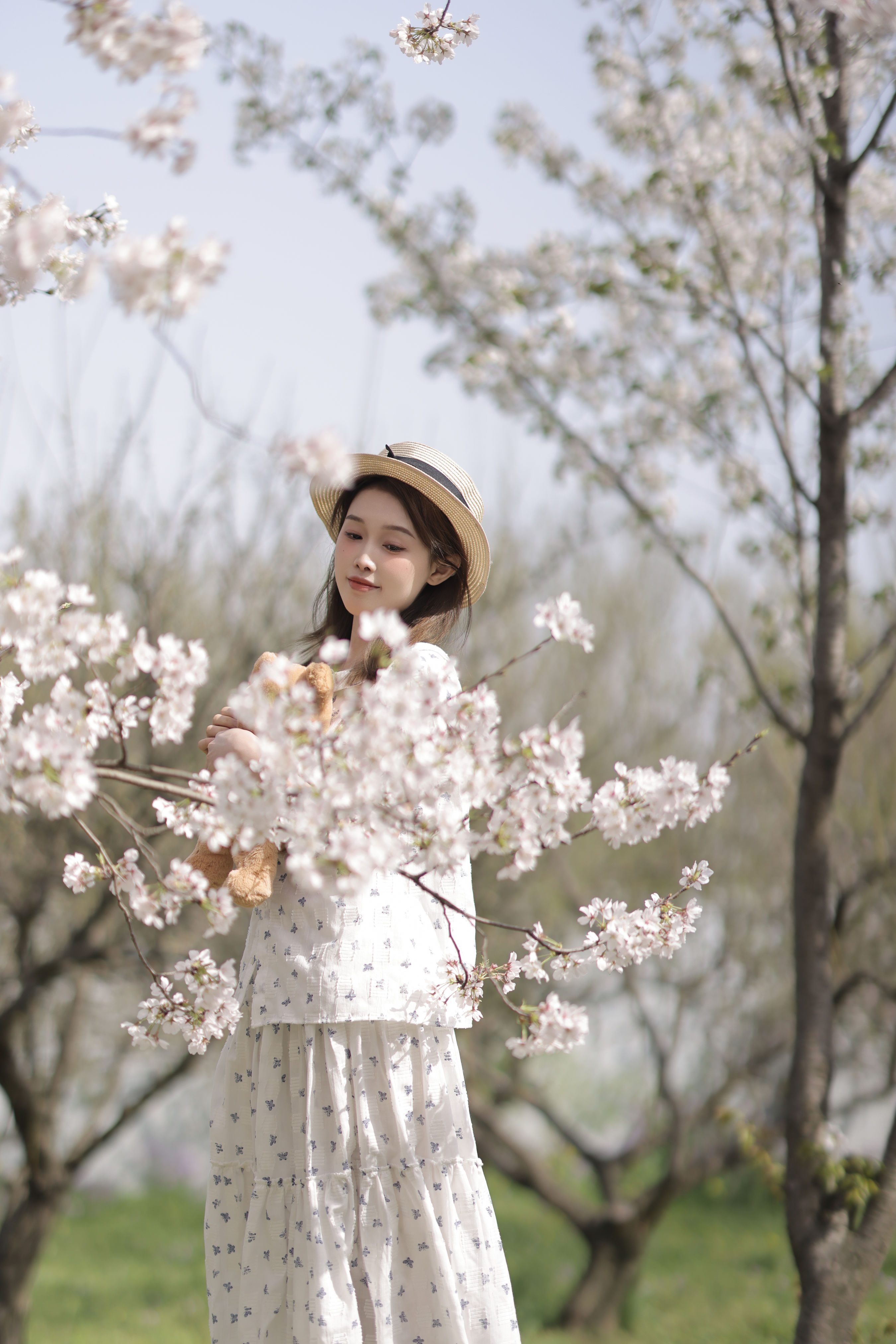 探一场春天 清纯 模特 美女 樱花 春天