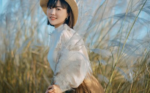 秋日芦苇 唯美 夕阳 秋天 漂亮 养眼&YiTuYu艺图语