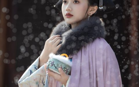 雪落下的声音 古装 美人 美图 唯美 意境&YiTuYu艺图语