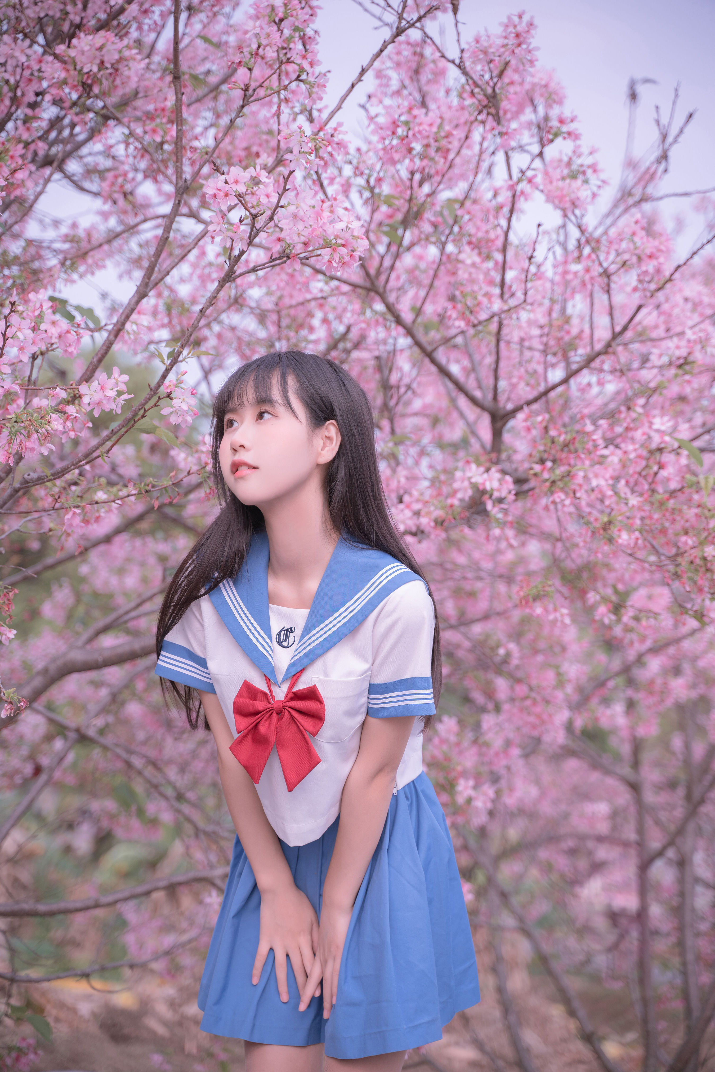 樱花jk JK 美少女 樱花 日系 春天&YiTuYu艺图语-3
