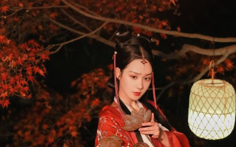 红罗意 伤感 唯美 意境 思念 情感 暗黑系 仙气 夜景人像 古风 枫叶&YiTuYu艺图语