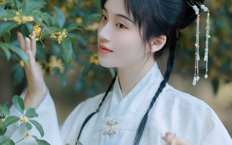 折桂令 古装 美图 摄影 意境 美人 绝色 唯美&YiTuYu艺图语