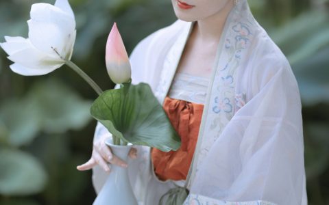 陶然荷韵 古风 荷花 清冷美人&YiTuYu艺图语
