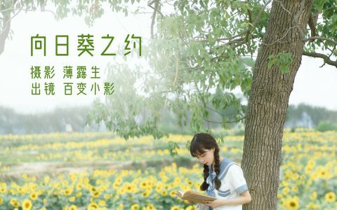 向日葵之约 唯美 治愈系 小清新 青春 美好 向日葵 女生&YiTuYu艺图语