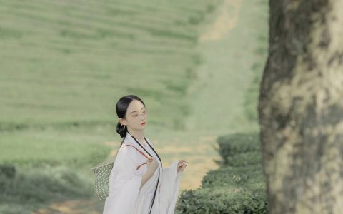 衣袖染茶香 唯美 禅意 意境 中国风 仙气 古风&YiTuYu艺图语
