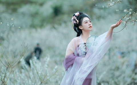 梅花三弄 美人 古风 中国风 汉服 花 美图&YiTuYu艺图语