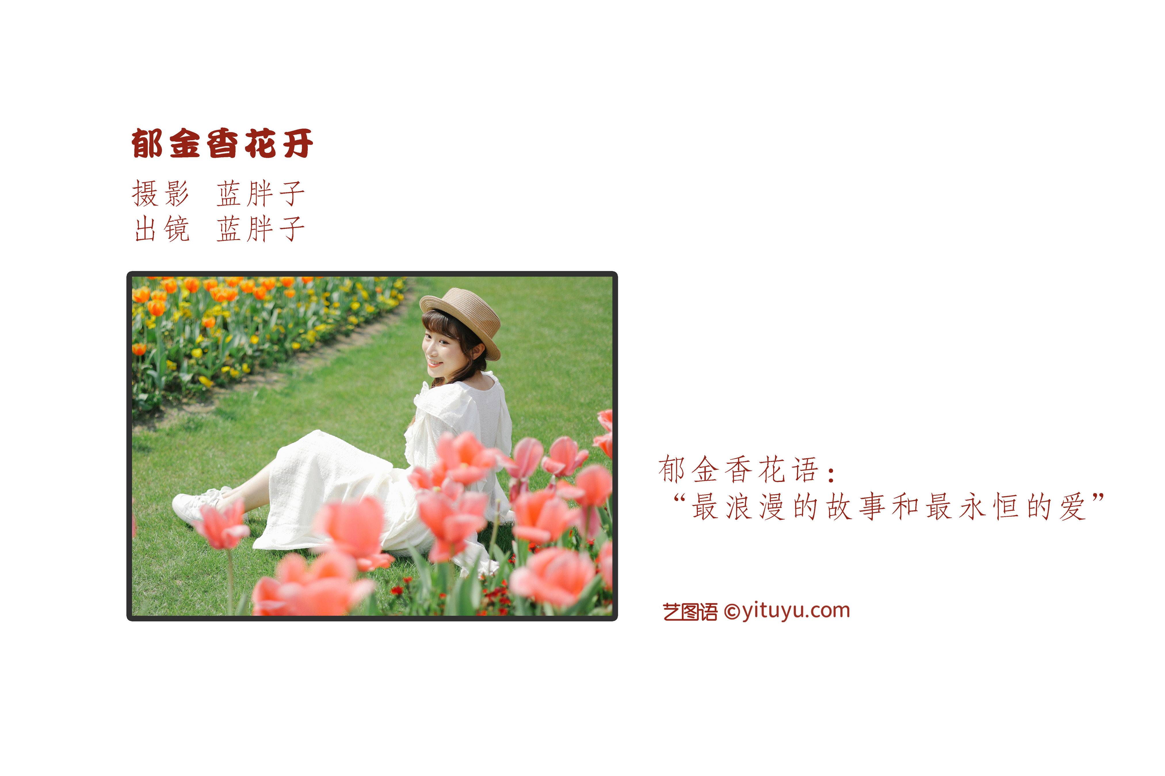 郁金香花开 小清新 日系 少女 花 漂亮 精美&YiTuYu艺图语-2