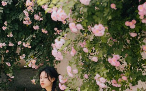 蔷薇 治愈系 文艺 日系 花 少女&YiTuYu艺图语