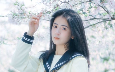 春日早樱 花 樱花 春天 唯美 小清新 日系 女生&YiTuYu艺图语
