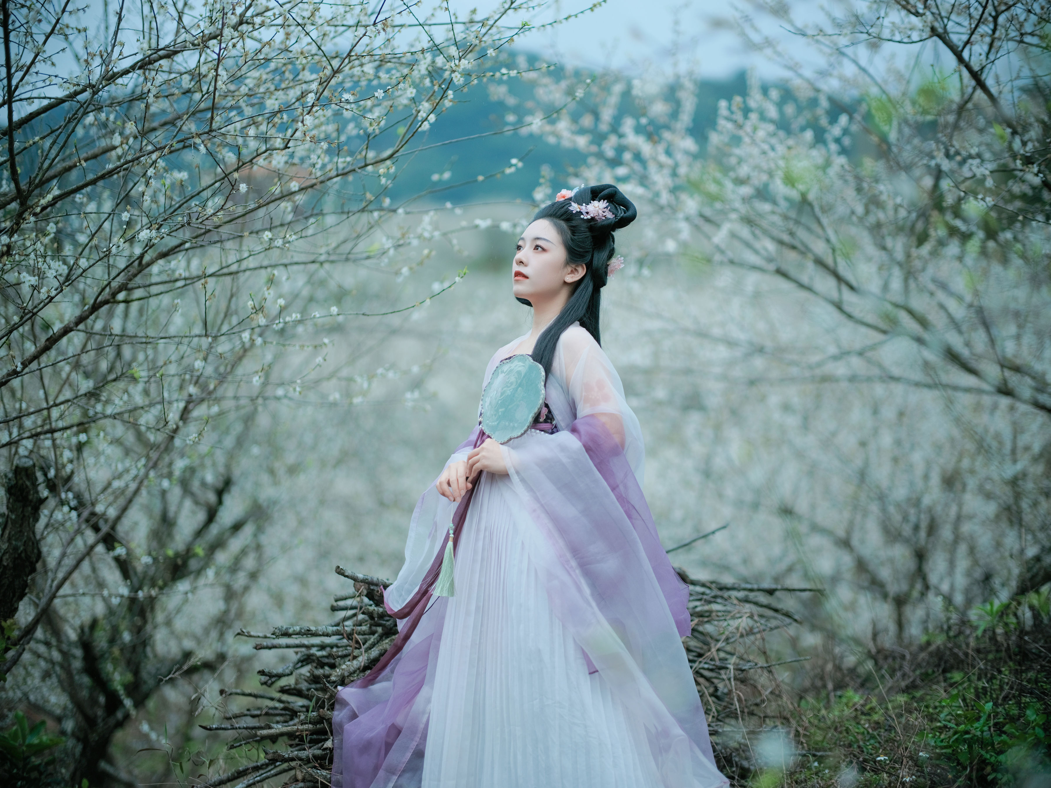 梅花三弄 美人 古风 中国风 汉服 花 美图&YiTuYu艺图语-5