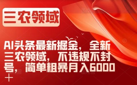 AI头条最新掘金,三农领域全面解析,月入6000+简单粗暴