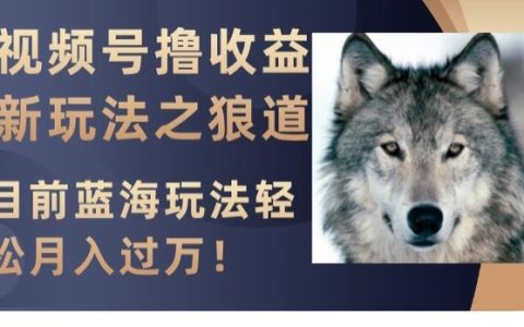 视频号狼道玩法揭秘,如何做出爆款视频,开通创作者收益,实现轻松月入过万