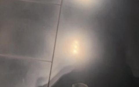 脸红Dearie微密ID大揭秘,轻松找到她的微密空间