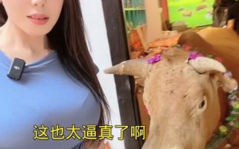 小厨娘美食记微密圈惊艳照片，美食与美女的完美结合