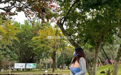 迷人的五姨太微密圈视图合集，最新资源下载