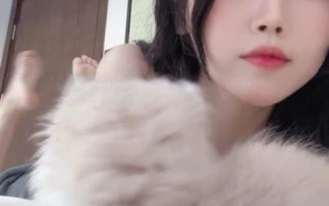 不呆猫异域风情全部 cos 图片视频作品资源集合，一网打尽！