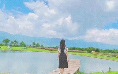 不呆猫个人资料，精彩作品分享