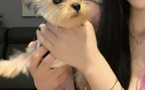 不爱笑的赛琳微密圈写真,颜值与魅力的全方位解析